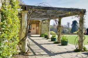 Pergolato con piante rampicanti: ecco le migliori per fiori e ombra